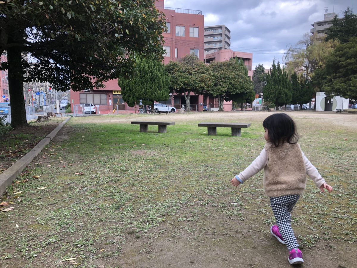 公園内をお散歩