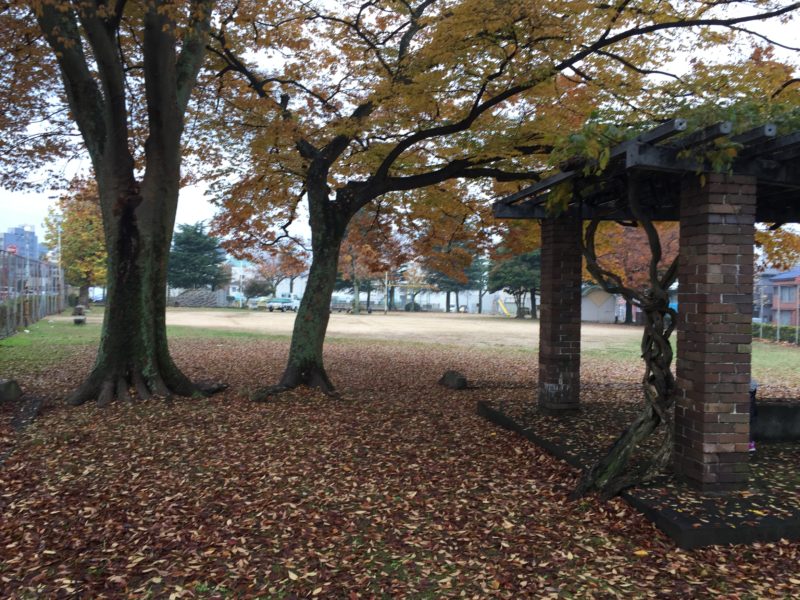 幸町公園01