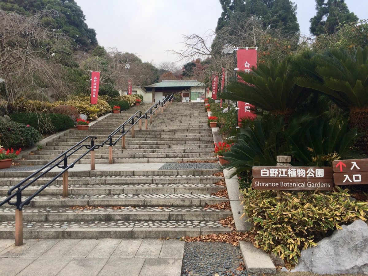 白野江植物公園入り口