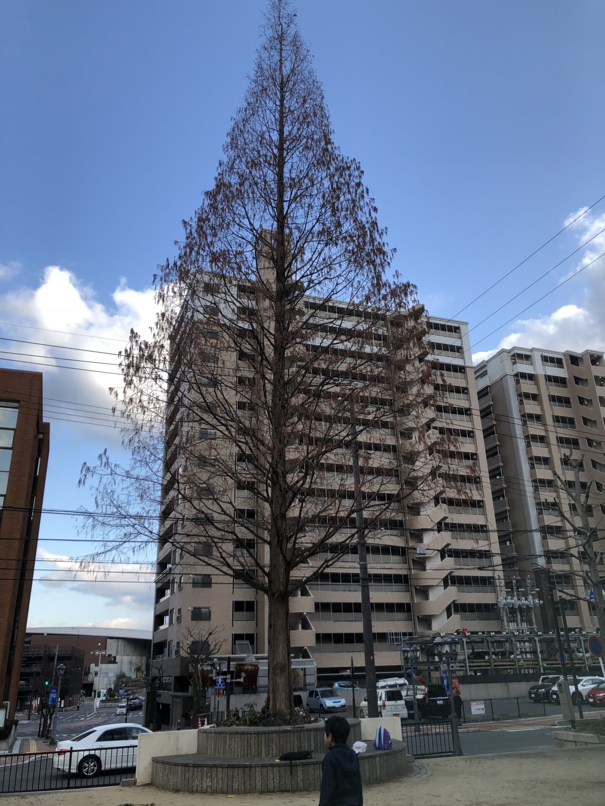 寿公園ポプラ