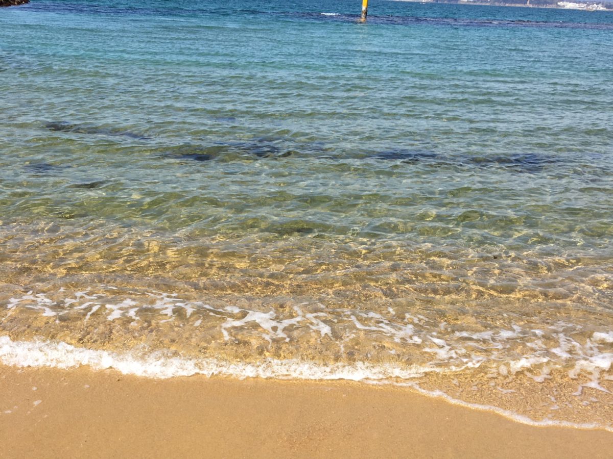 広い砂浜が魅力 ひこっとらんどマリンビーチ かんもんノート 広い砂浜が魅力 ひこっとらんどマリンビーチ かんもんノート