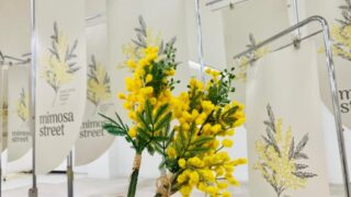【イベント】国際女性DAYに合わせ、3月7日、8日は街を彩る「街角ミモザプロジェクト」開催！