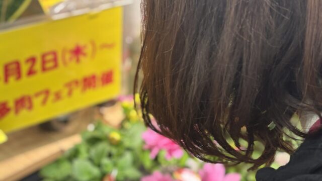 発見!お買い物ついでの「宝探し」。植物園のようなお花屋さん!