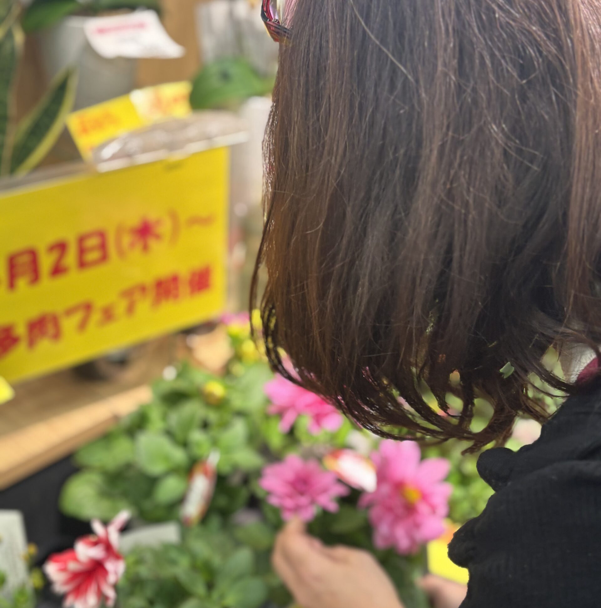 暮らし